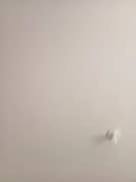 Morguisssz online show from September 18, 2025, 1:03 pm