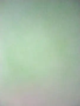 Lorrain Dorrie online show from February 26, 2025, 12:38 pm