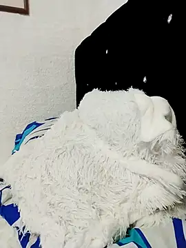 Snapshot of ElizabethWeil chatting on December 15, 2025, 3:18 pm ElizabethWeil online show from December 15, 2025, 3:18 pm