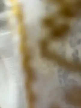 HoneyBearCpl online show from October 29, 2025, 3:33 pm