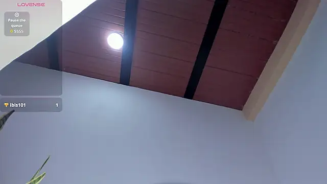 HaleyAmaya online show from November 22, 2025, 7:13 pm