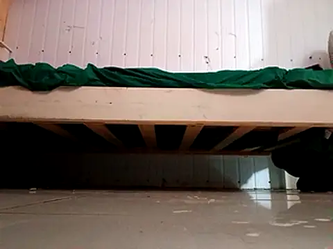 frotasso online show from January 31, 2025, 12:40 pm