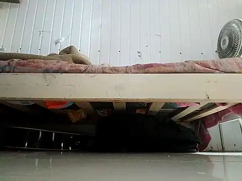 frotasso online show from February 13, 2026, 11:05 pm