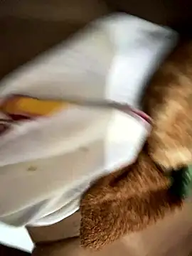 Snapshot of Gordelicia03 chatting on January 10, 2026, 4:35 pm Gordelicia03 online show from January 10, 2026, 4:35 pm