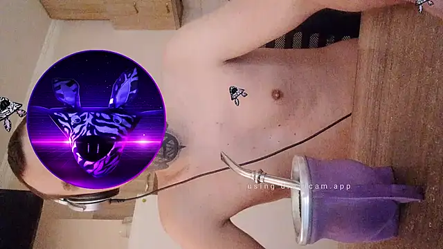 Snapshot of HappyZebra13 chatting on February 12, 2025, 12:55 pm HappyZebra13 online show from February 12, 2025, 12:55 pm