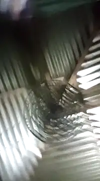 Sree-69-nude online show from February 24, 2025, 9:20 pm