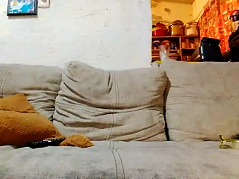 Snapshot of NewBe9D9 chatting on November 23, 2025, 9:41 am NewBe9D9 online show from November 23, 2025, 9:41 am