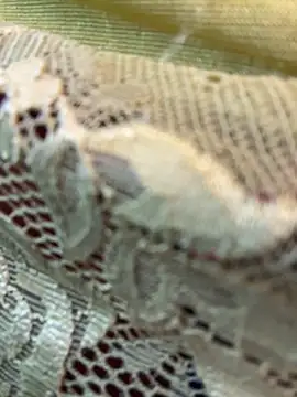 honeyboobies7249 online show from February 22, 2026, 7:37 pm