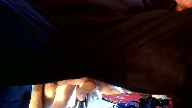 Snapshot of SilverandFox chatting on September 10, 2025, 5:45 pm SilverandFox online show from September 10, 2025, 5:45 pm