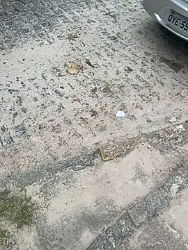 Casadadelicia26 online show from March 19, 2026, 7:25 pm