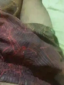 jarmesr7x online show from February 11, 2025, 3:18 am