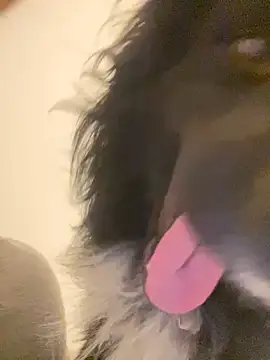 Snapshot of fayfay2002 chatting on January 5, 2025, 9:57 pm fayfay2002 online show from January 5, 2025, 9:57 pm