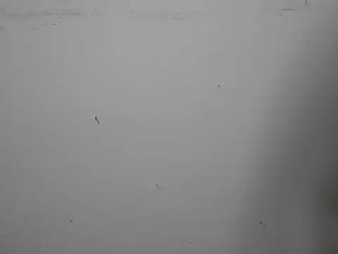 GoddessGlide online show from March 16, 2025, 11:16 am