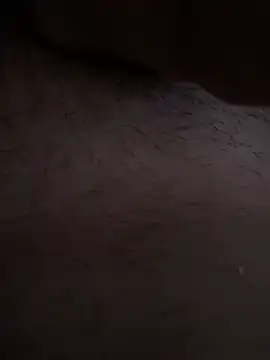 ouliaka online show from January 12, 2025, 12:55 pm