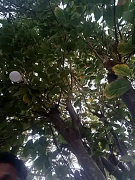 Snapshot of carria_homes chatting on February 20, 2025, 5:09 pm carria homes online show from February 20, 2025, 5:09 pm