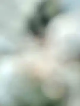 Snapshot of carria_homes chatting on February 19, 2025, 11:17 am carria homes online show from February 19, 2025, 11:17 am