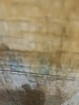 Snapshot of mksharma-mastlund chatting on January 24, 2025, 4:05 am mksharma-mastlund online show from January 24, 2025, 4:05 am