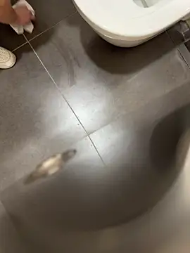 Snapshot of verici34 chatting on March 1, 2026, 9:09 am verici34 online show from March 1, 2026, 9:09 am