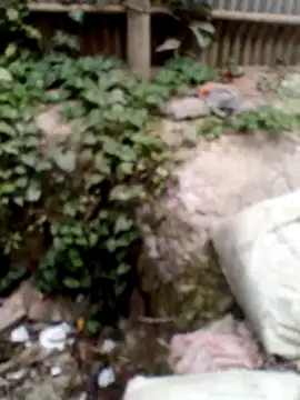 xLoveer online show from March 13, 2026, 6:40 am