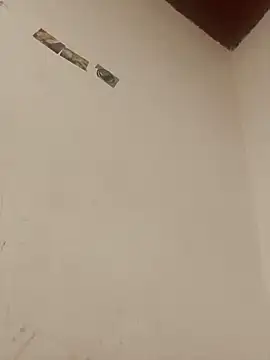 boobsTaylor online show from October 3, 2025, 7:10 am