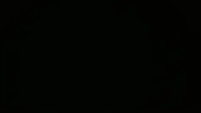 maison sofia1 online show from March 28, 2026, 6:58 am