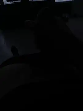 coreyl9718 online show from February 13, 2025, 4:39 pm