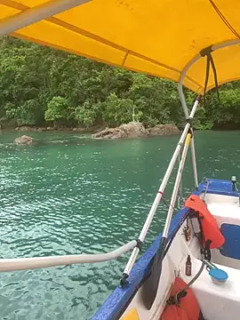 GoloZeusMax online show from March 19, 2025, 8:00 pm