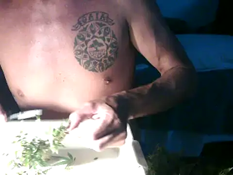 GoloZeusMax online show from March 14, 2025, 12:32 am