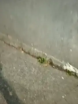 Snapshot of mmarvis_za78_93_21cm chatting on December 16, 2025, 11:31 pm mmarvis za78 93 21cm online show from December 16, 2025, 11:31 pm