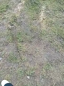 Snapshot of mmarvis_za78_93_21cm chatting on June 10, 2026, 1:12 pm mmarvis za78 93 21cm online show from June 10, 2026, 1:12 pm