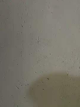 Snapshot of triplebeast chatting on October 17, 2025, 4:49 am triplebeast online show from October 17, 2025, 4:49 am