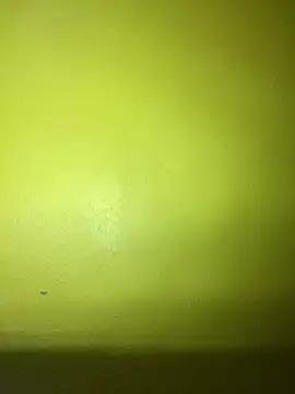 Snapshot of triplebeast chatting on February 2, 2025, 2:59 am triplebeast online show from February 2, 2025, 2:59 am