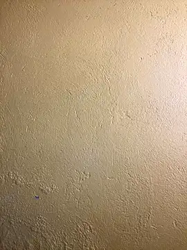 Snapshot of triplebeast chatting on September 11, 2025, 9:53 am triplebeast online show from September 11, 2025, 9:53 am