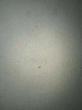 Snapshot of triplebeast chatting on December 2, 2025, 8:16 am triplebeast online show from December 2, 2025, 8:16 am