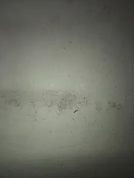 Snapshot of triplebeast chatting on December 18, 2025, 5:17 pm triplebeast online show from December 18, 2025, 5:17 pm