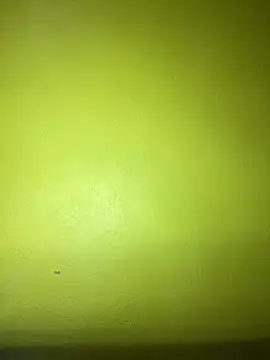 Snapshot of triplebeast chatting on January 23, 2025, 10:54 pm triplebeast online show from January 23, 2025, 10:54 pm