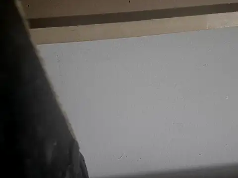 filthymind619 online show from January 16, 2025, 5:00 am