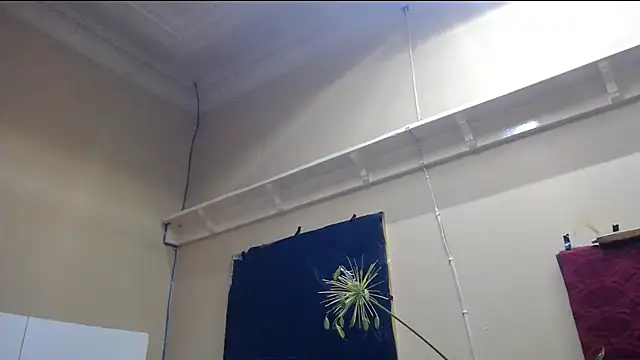 Snapshot of TALLSWATIBIACH chatting on March 1, 2025, 11:04 pm TALLSWATIBIACH online show from March 1, 2025, 11:04 pm