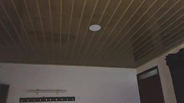 Renaxi Smith online show from March 21, 2026, 7:51 pm