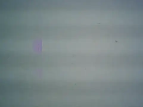 michel1520 online show from April 11, 2026, 11:30 pm