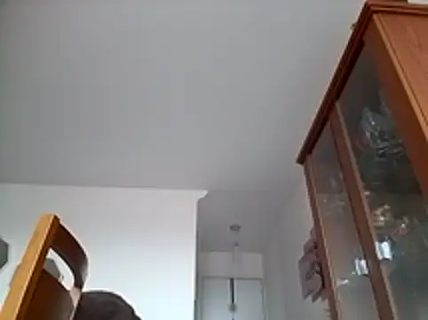 Munnoki online show from January 17, 2026, 9:35 am