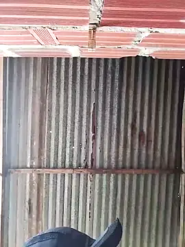 Black Manba online show from September 20, 2025, 11:26 am