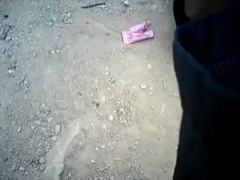 Black Manba online show from February 24, 2025, 7:30 pm