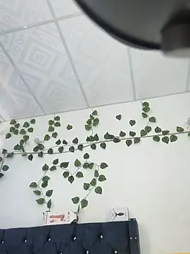 Snapshot of miaa--pervert chatting on January 15, 2025, 1:20 pm miaa--pervert online show from January 15, 2025, 1:20 pm