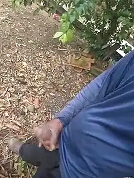 1662 online show from October 29, 2025, 11:31 am