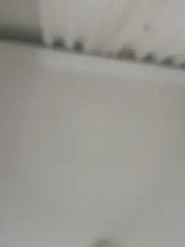 Snapshot of jacaranduba07 chatting on February 27, 2025, 8:24 am jacaranduba07 online show from February 27, 2025, 8:24 am