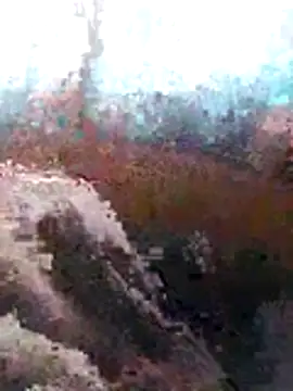 Snapshot of LaneYam chatting on July 8, 2026, 6:36 am LaneYam online show from July 8, 2026, 6:36 am
