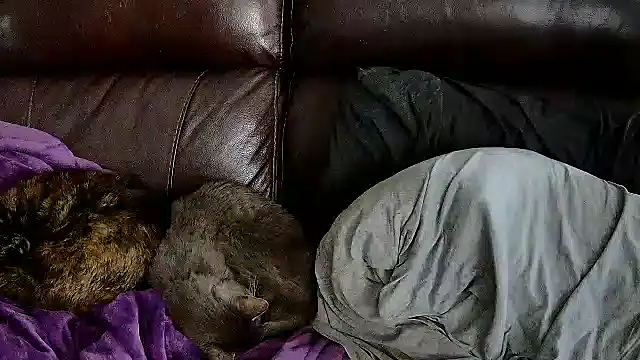 Snapshot of StonerPrincessGenie chatting on March 6, 2025, 8:37 pm StonerPrincessGenie online show from March 6, 2025, 8:37 pm