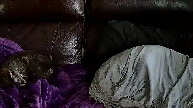 Snapshot of StonerPrincessGenie chatting on March 6, 2025, 5:33 pm StonerPrincessGenie online show from March 6, 2025, 5:33 pm