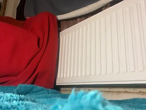 Snapshot of iccmananal chatting on December 23, 2025, 2:44 am iccmananal online show from December 23, 2025, 2:44 am